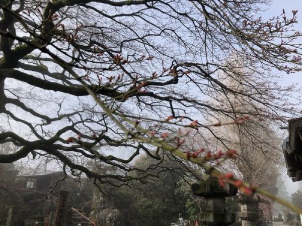 花の季節サムネイル